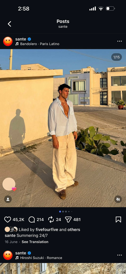 Beige Linen Pants